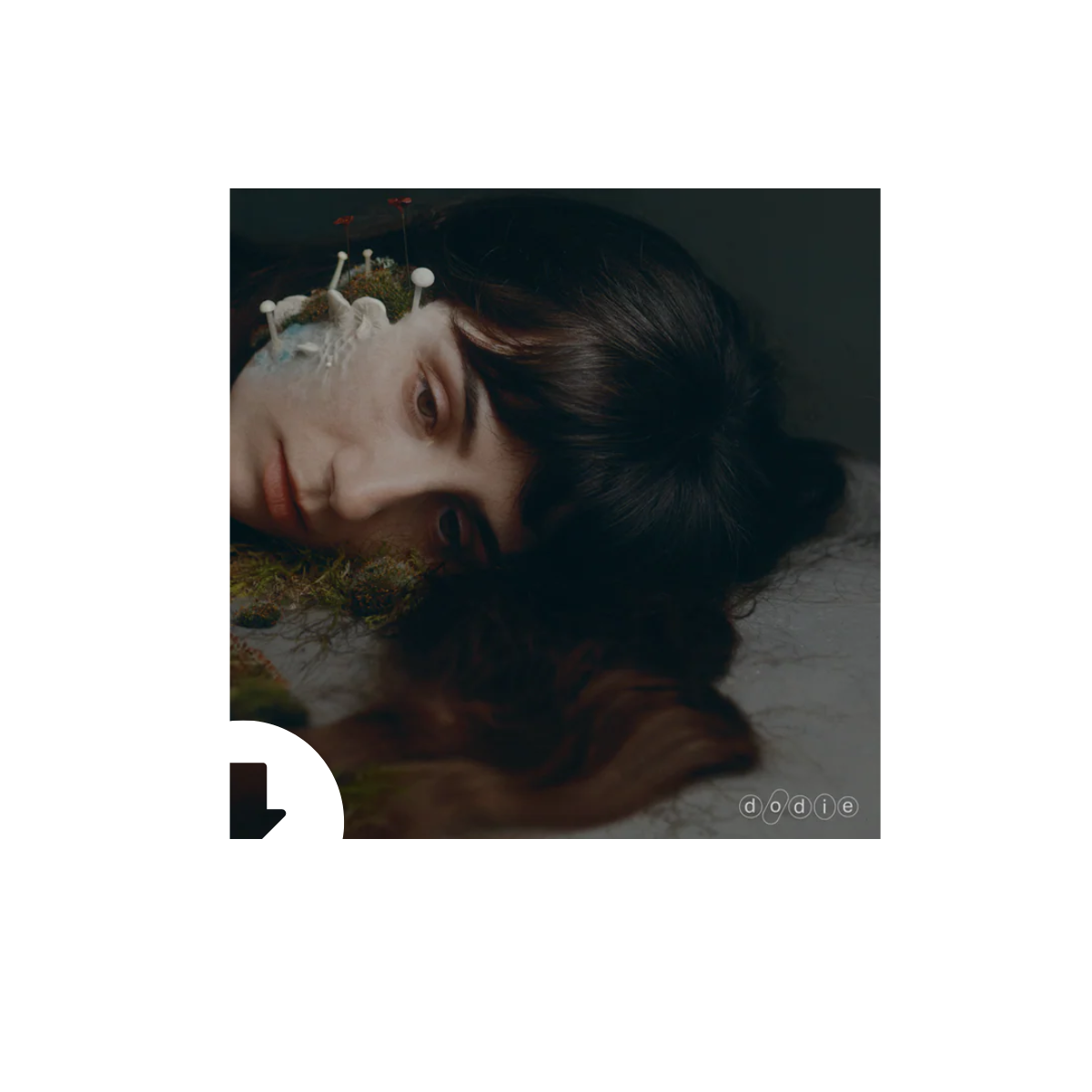dodie - Not For Lack Of Trying + Instrumentals (Download Album)